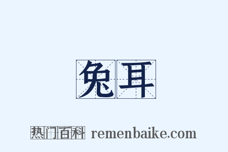 兔耳是什么意思的图片